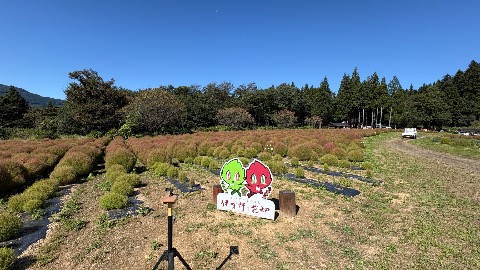いがのんとこきあんの看板