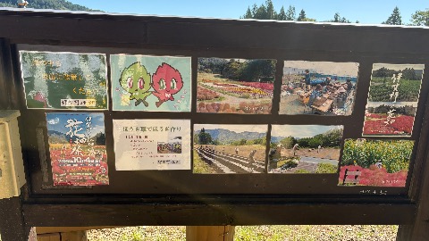 花畑の掲示板。去年10月29日の写真と、11月1日のほうき作りの案内