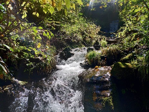 洞元湖のまわりの山